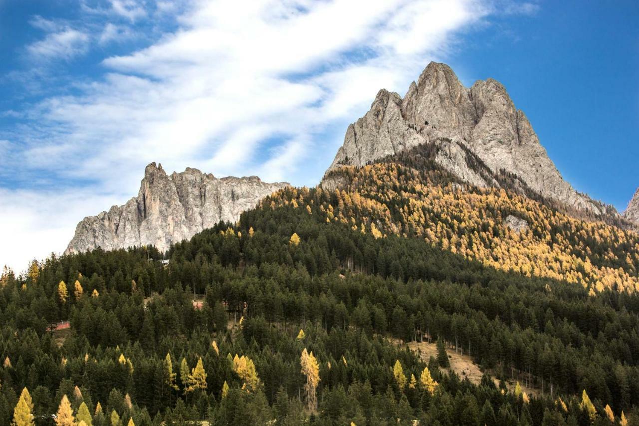 Wellness Fassa Apartment Pozza di Fassa Bagian luar foto